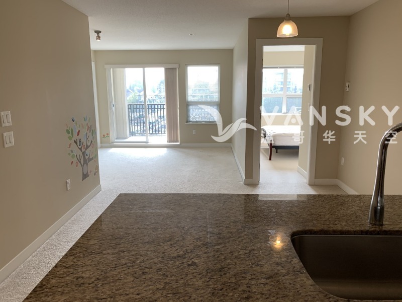 250430115812_5 dining1.jpg